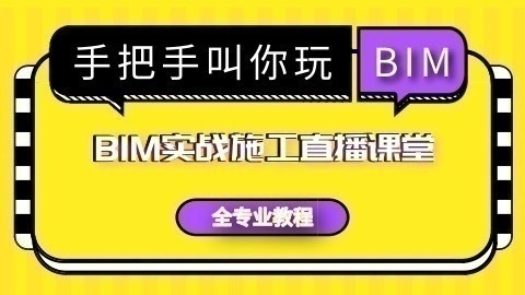 BIMҵĿʵսѵ