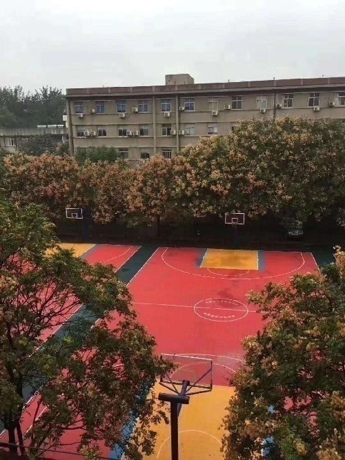 羺˶רҵ